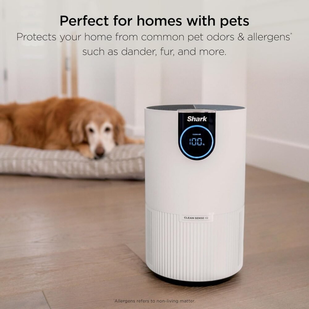 Limited-Time Clearance Sale – HEPA Air Purifiers for Bedroom and Office, Up to 500 sq. ft.